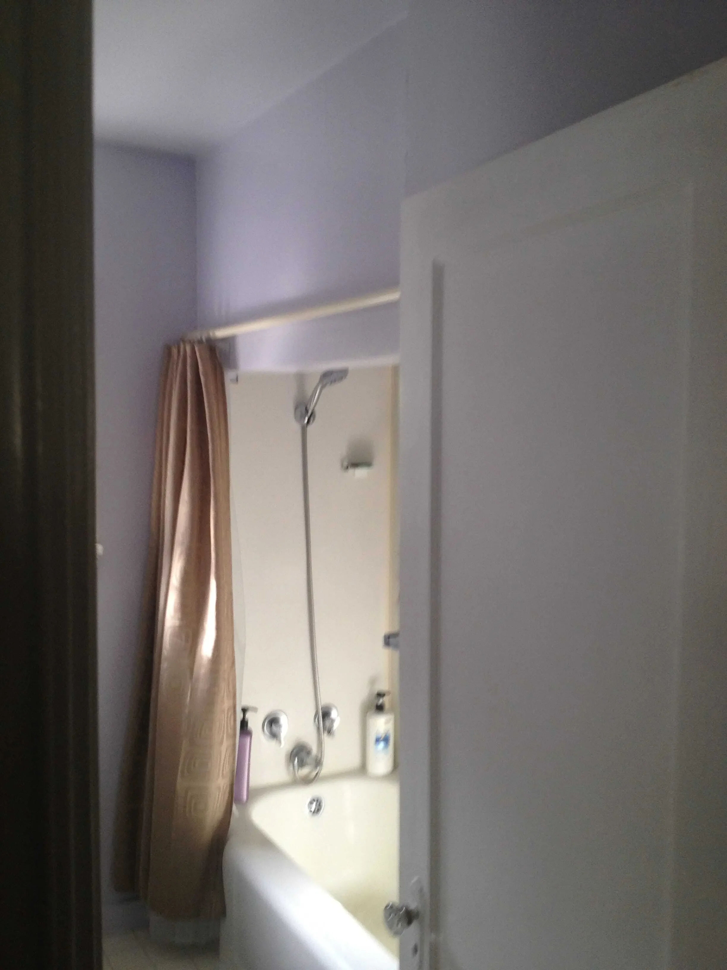 The old claustrophobic shower. (before)